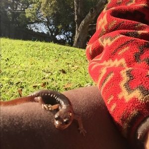 Meet your Posher, Sierra